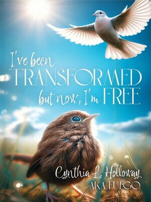 cover image of I've Been Transformed